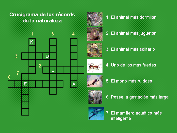 El Crucigrama